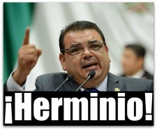 0 a herminio corral estrada pan camara de diputados