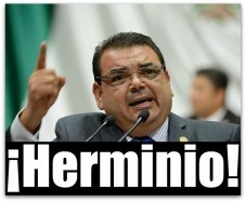 0 a herminio corral estrada pan camara de diputados