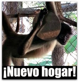 0 a profepa zoologico santiago