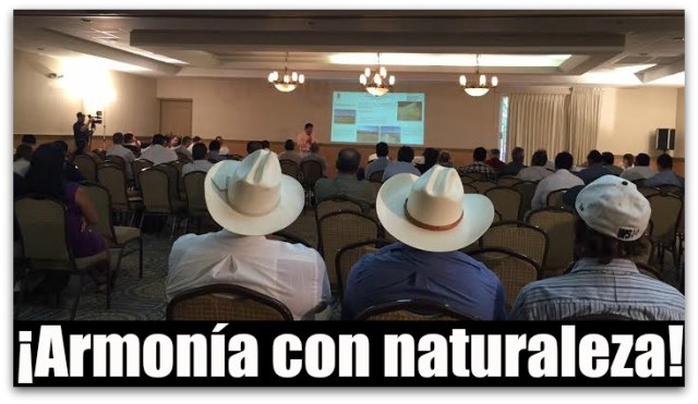 1 a peninsula de los sueños consulta hoy