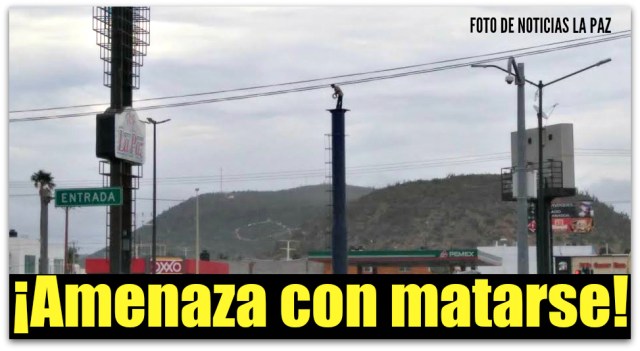 0 a a a a a suicida soriana forjadores