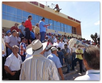 0 a armando transporte planton 3