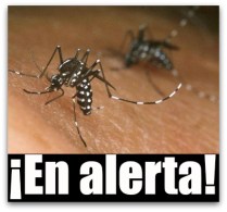 0 a Chikungunya dengue bcs