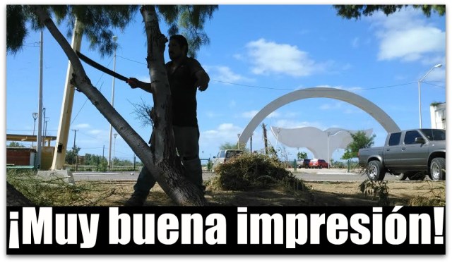 0 a cola de la ballena en la paz bcs