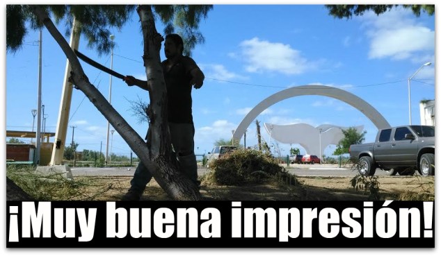 0 a cola de la ballena en la paz bcs