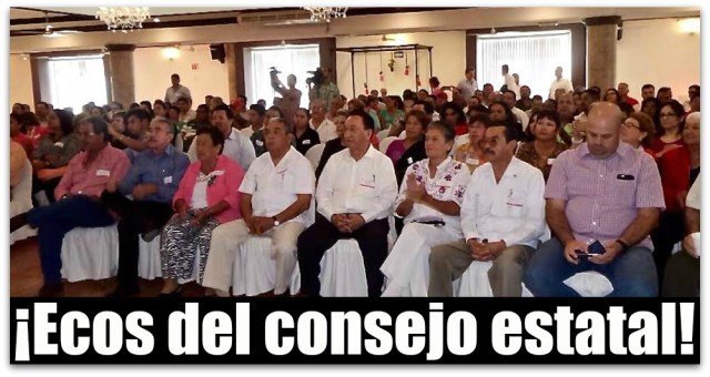 0 a consejo estatal del pri del domingo en la paz