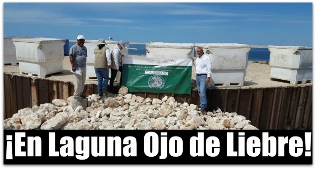 0 a el muelle en santuario ballero