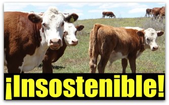 0 a a a a a abigeato en los cabos