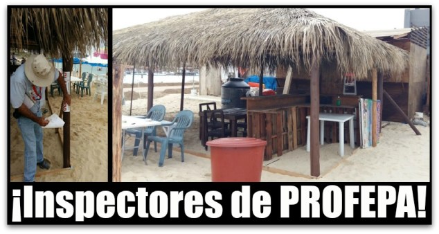 RESTAURANT ROUTE 55 PLAYA EL MEDANO