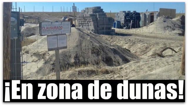 0 a a profepa en todos santos