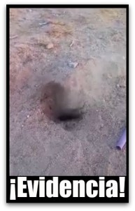 0 A VAPOR DE AGUA SALE DE LA TIERRA