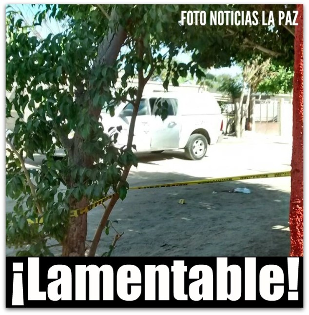 c a atropellado colonia diana laura