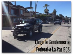 d a gendarmeria regreso a la paz