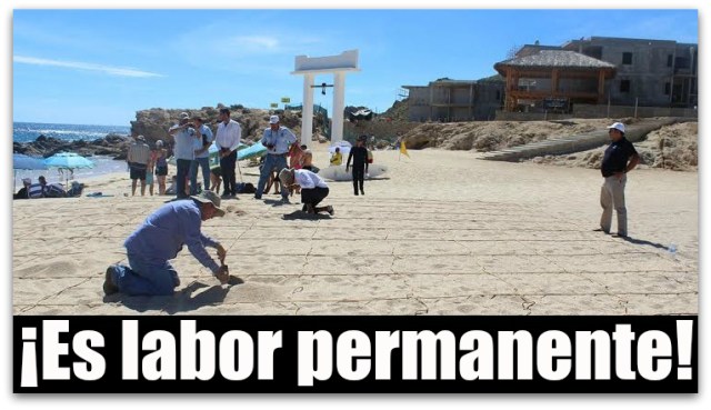 d a playas de zofemat la paz bcs