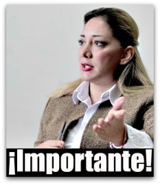 0 a ayuntamiento de la paz emprendedores