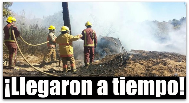 0 a bomberos de san jose del cabo 001