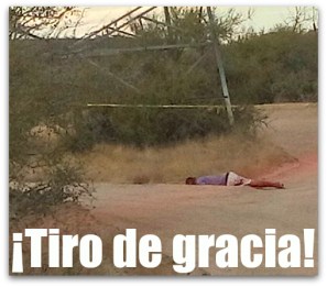 0 a ejecutado colonia camino real