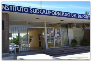 0 a insujde crea la paz bcs