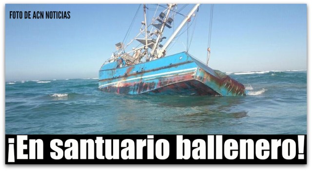 d a barco sardinero ok