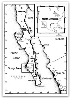 d a radares estados unidos campos de estudio para bases