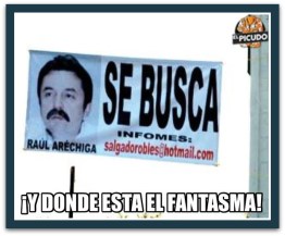 d a raul arechiga aerocalifornia