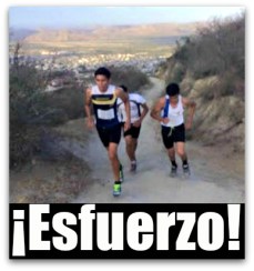 0 a cerro de las chivas san jose del cabo