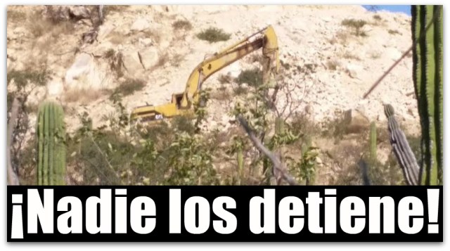 0 a corral de piedra cabo san lucas depredacion