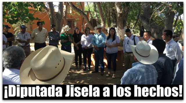 0 a diputada jisela siembra de quinoa en ciudad constitucion