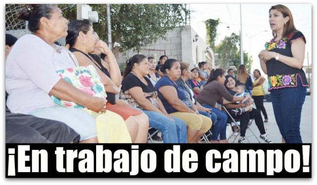 0 a diputada lupita saldaña cabo san lucas