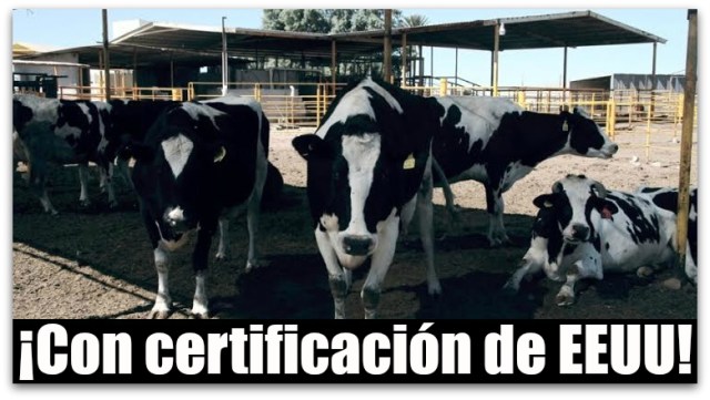 0 a ganado baja california sur