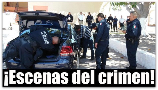 0 a pgr policia de los cabos