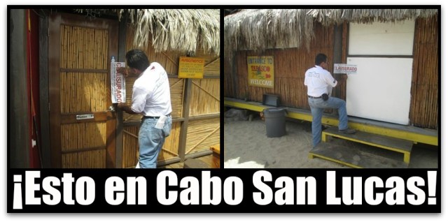 0 a profepa en la playa el medano