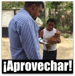 0 a vacunas antirrabicas