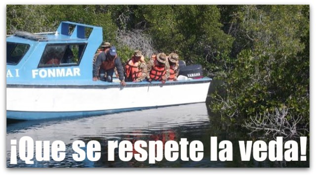 0 a veda fonmar vigilancia costas comondu