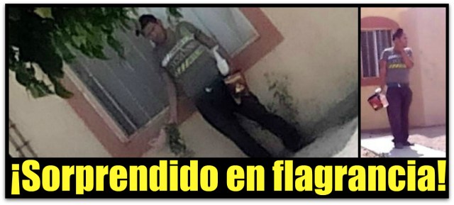 d a ladron colonia misiones en la paz