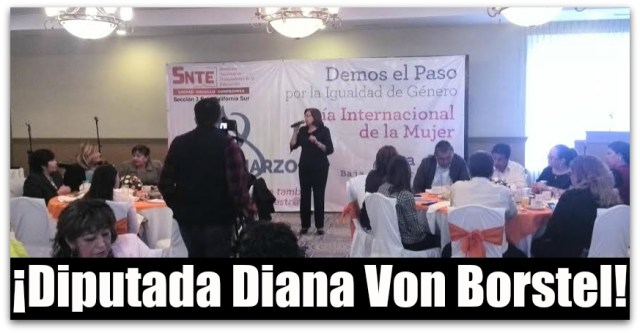 o a diputada diana vonborstel