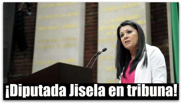 0 a a diputada jisela paes en tribuna