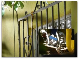 0 a ahorcado en la paz hoy encontrado