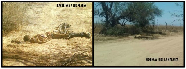 0 A CADAVERES ENCONTRADOS EN LA PAZ ABRIL 26