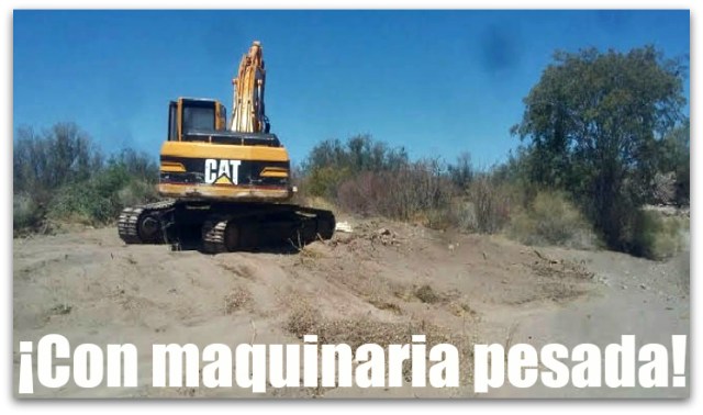 0 a depredacion en loreto ahora4