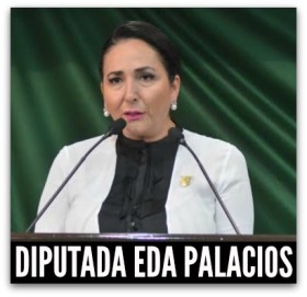 0 a diputada eda palacios pan los cabos