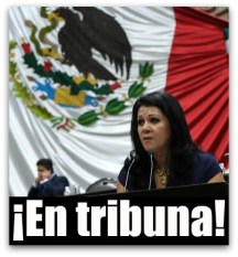 0 a diputada jisela paes pan