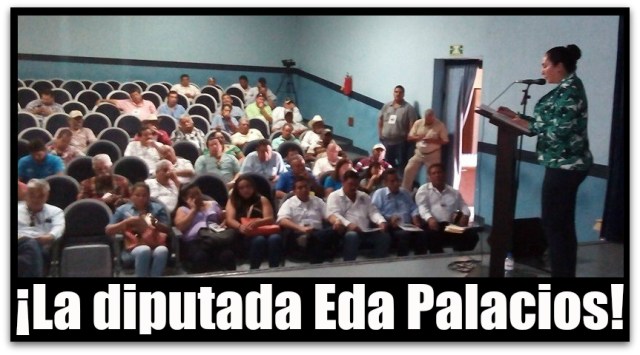 0 a eda palacios diputada foro agropecuario