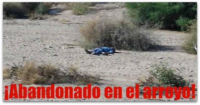 0 a ejecutado a balazos en la paz arroyo la fuente