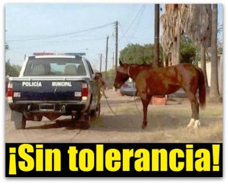 0 a ganado suelto ciudad constitucion