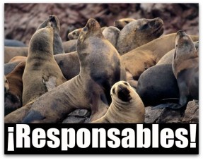 0 a lobos marinos baja california sur