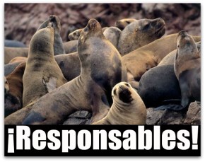 0 a lobos marinos baja california sur