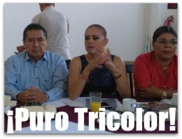 0 A NICK pri fernanda villarreal mujeres pri