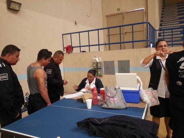 0 antidoping policias de la paz4