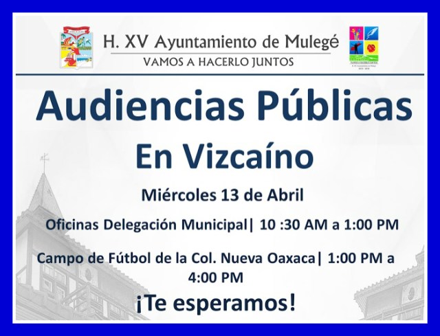0 audiencias publicas alcaldesa en vizcaino